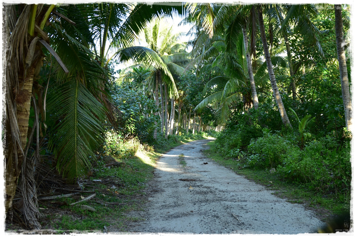 Día 5. Savai’i: costa oeste - Talofa! Samoa, una perla en el Pacífico (8)