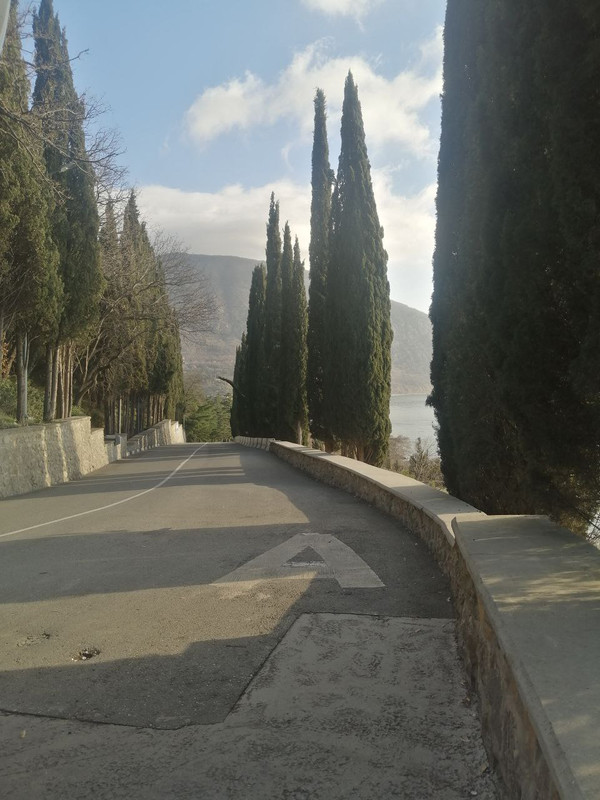 IMG_20230124_200343_435