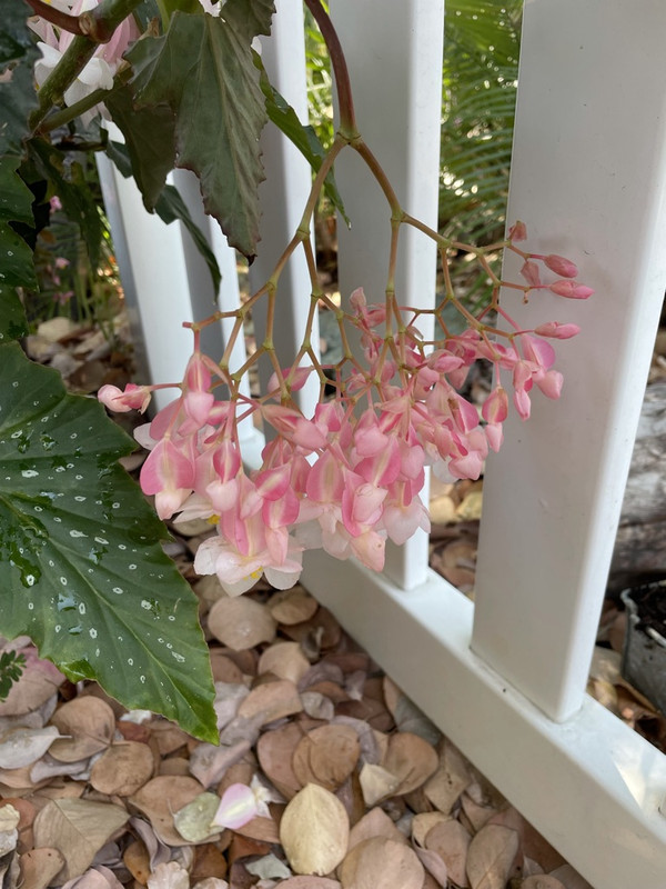 CC222AD8-E9C4-48EC-92FF-0F0ED2AB6567_1_105_c