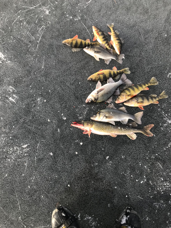 395E2253-9234-4C1F-B18A-3E8E510F41EF