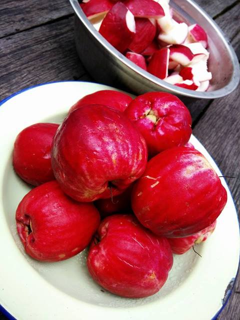 jambu bol2