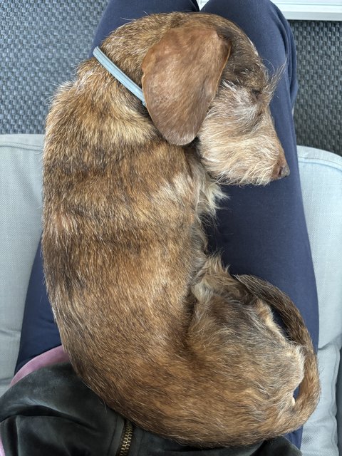 [Image: IMG-8886.jpg]