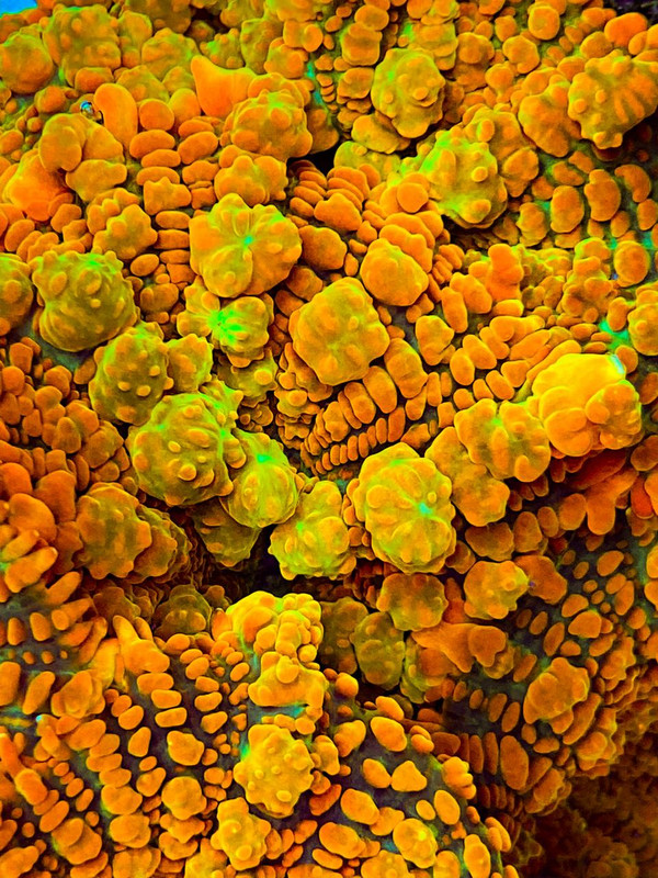 2E384B53-B1F6-449C-A27B-02D8CE89DE69