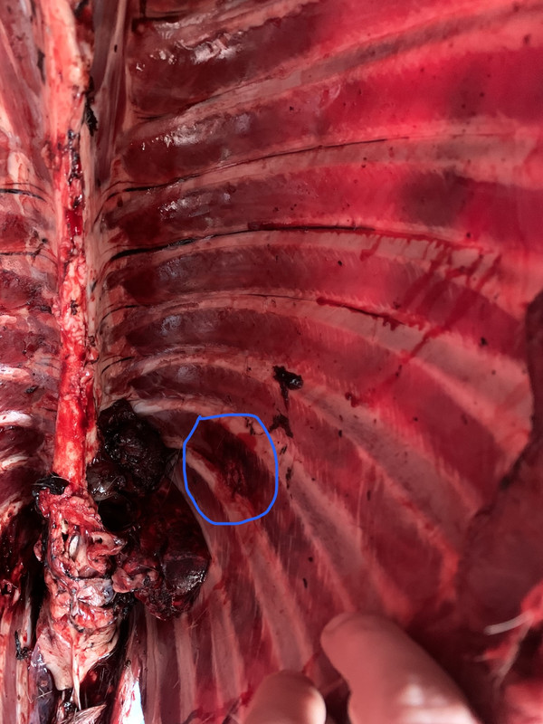 00A4E403-A871-4102-9A79-F6E3D6F0EB88