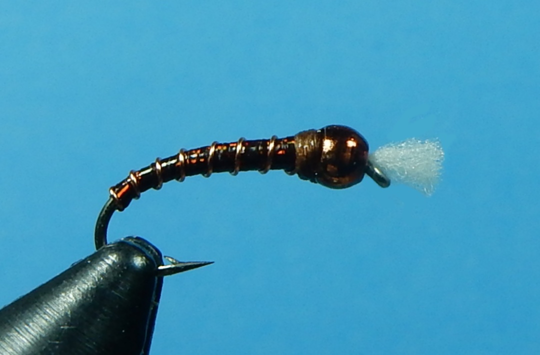 Hot-Chocolate-Chironomid-1080.jpg