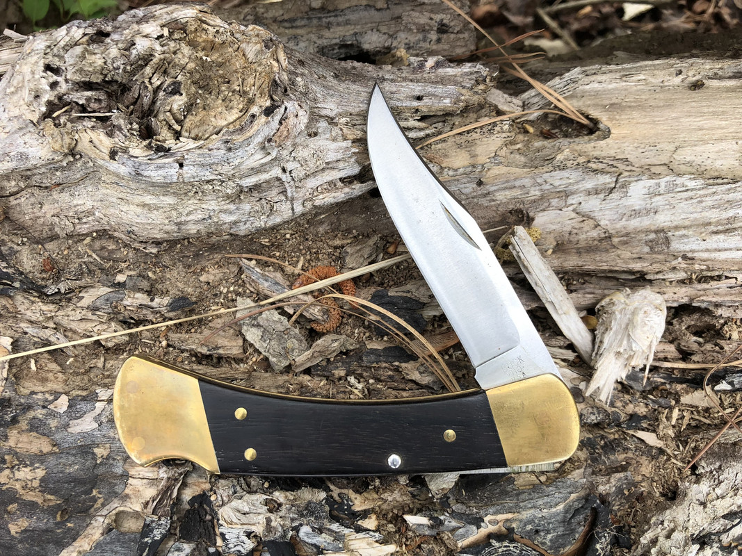 Buck_110_two-dot_Folding_Hunter.jpg