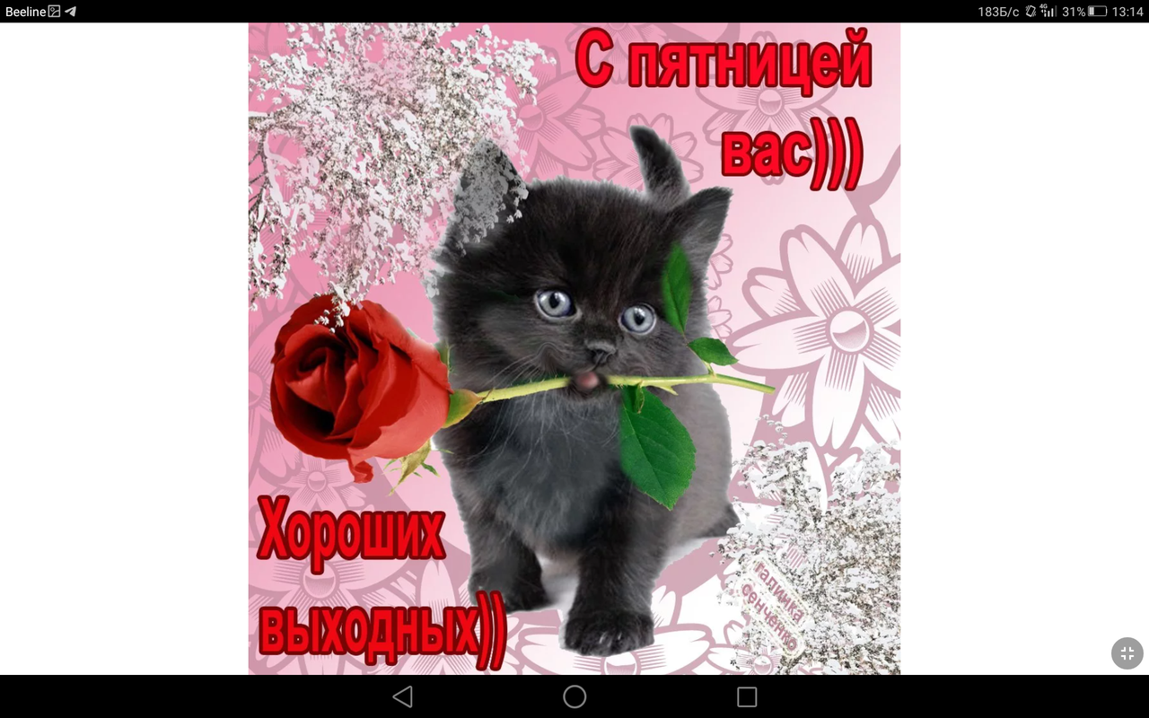 Screenshot_2023-01-27-13-14-06