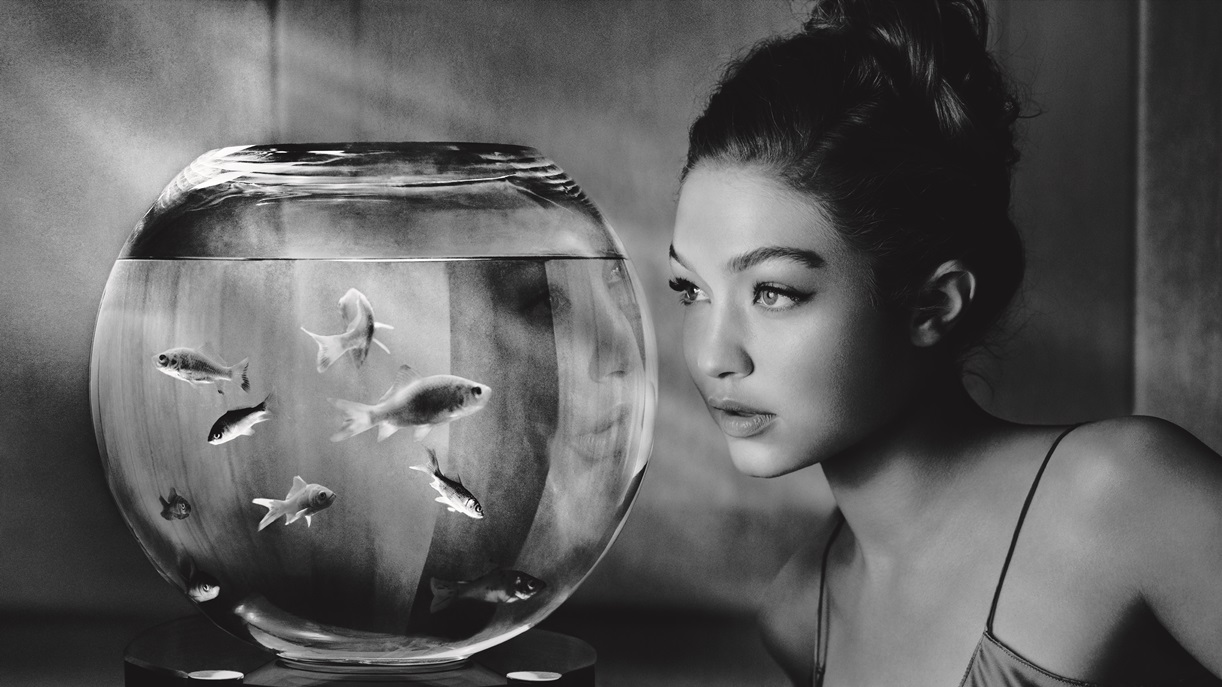 2019_01_GIGIHADID