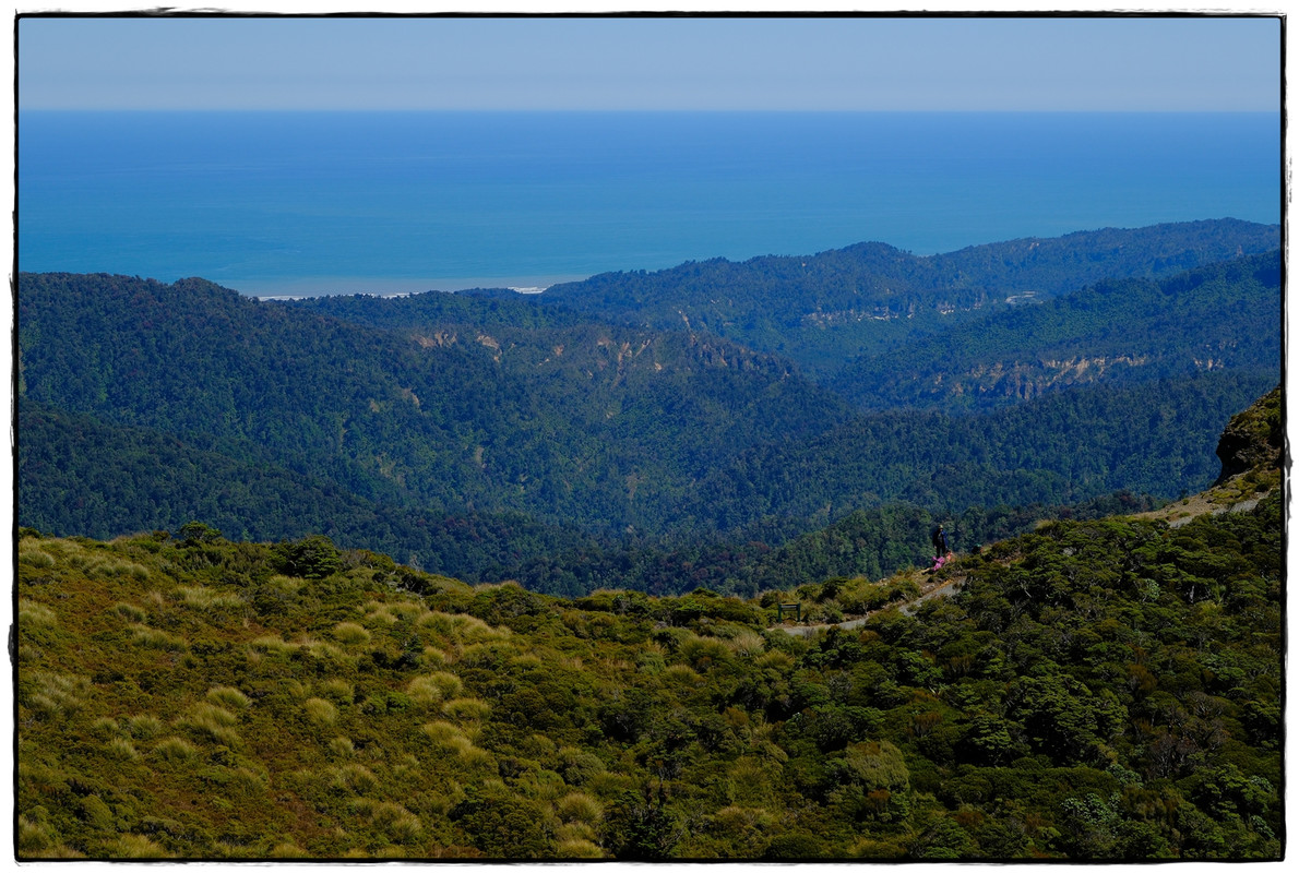 Paparoa NP: Paparoa Track (diciembre 2024) - Escapadas y rutas por la Nueva Zelanda menos conocida (32)