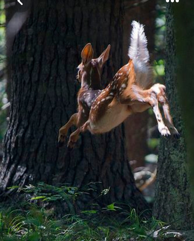 Screenshot_20230816_232005_Pinterest