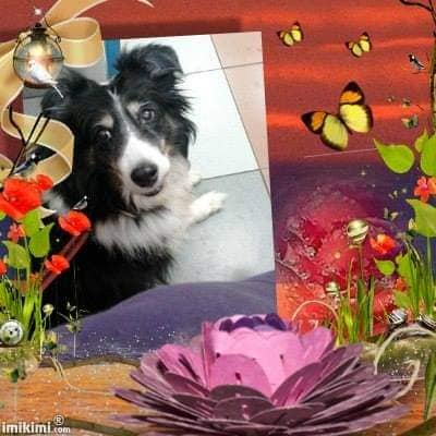 486319515-2874601199381299-8181483130862295518-n