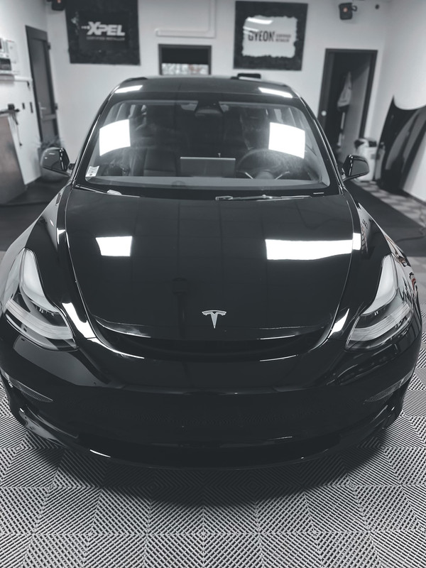 77D36435-7CC3-49F9-B279-3BAC6C15293C