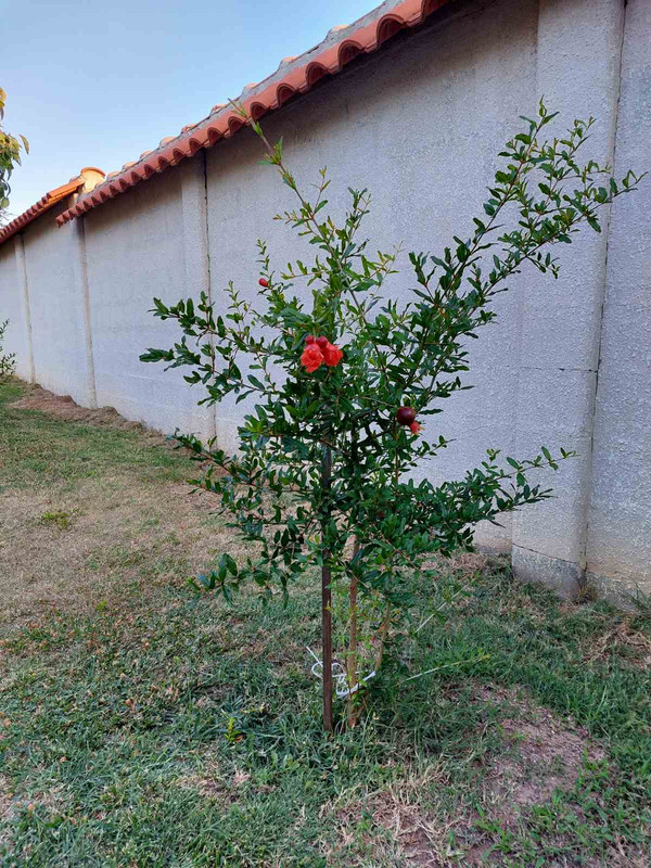 0-02-05-5ef59e760cef6c6662eb6e90639dd349fc2a679caf444f756dd805c068a94143_e7dc78d61411cbd4