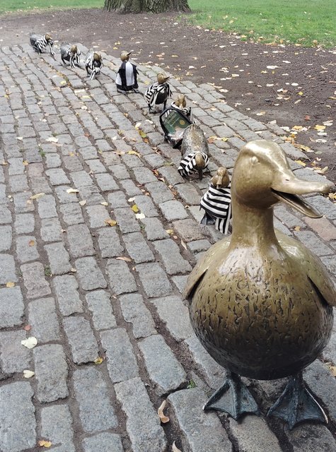 Pateamos Boston: Freedom Trail, Cheers, Mercadillos etc - Boston y Chicago (81)