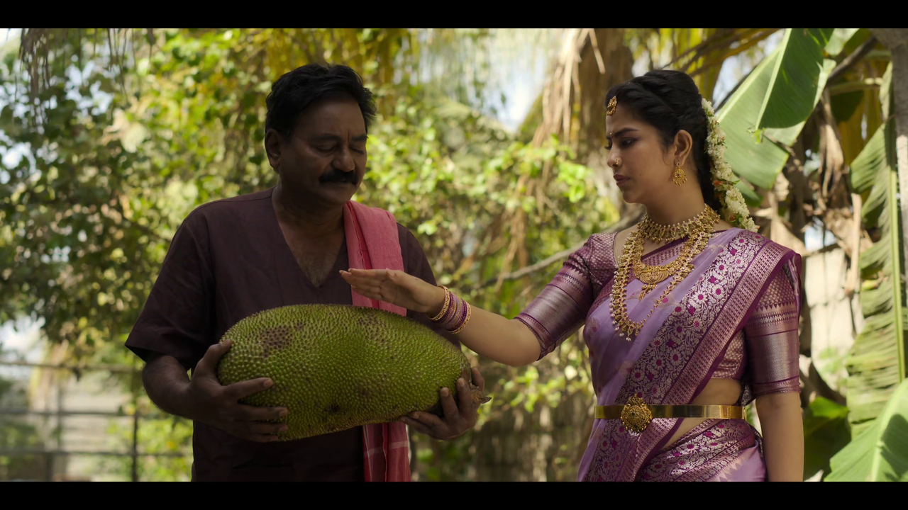 vlcsnap-2023-12-12-01h25m16s048