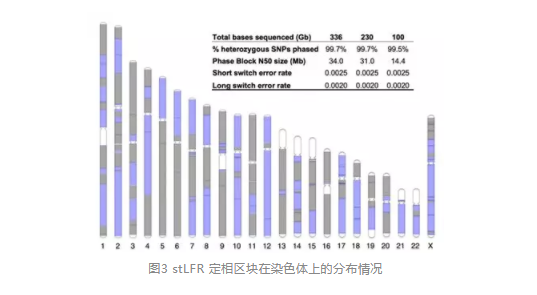 长分子DNA研究新方法stLFR展示出巨大潜力_4