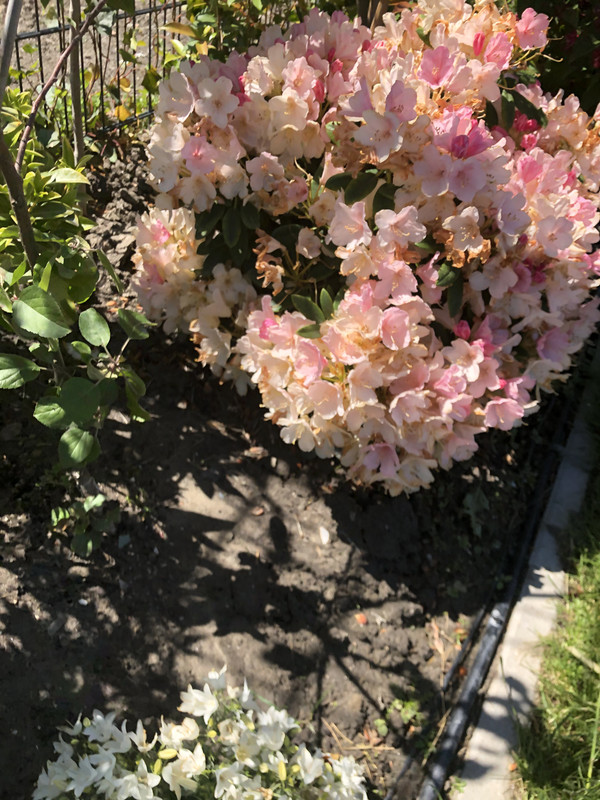 CE549D8E-52A3-47AB-94A2-4CE5E2913B27