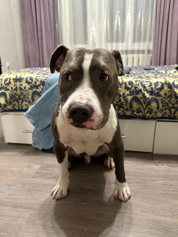 42C1A4CD-0D33-4366-9D90-1E0BB47BA640