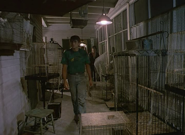 vlcsnap-2022-08-22-17h22m21s896