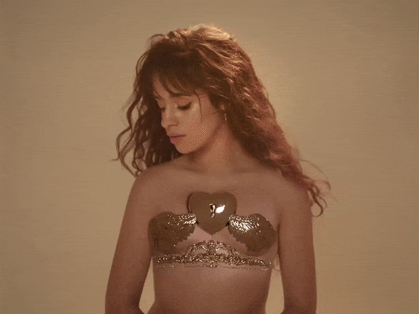 camilaromanceanilg.gif