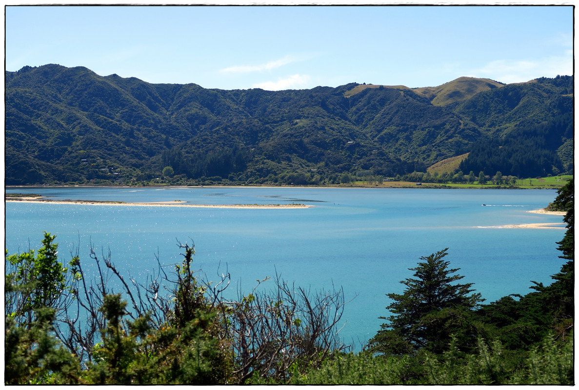 Escapadas y rutas por la Nueva Zelanda menos conocida - Blogs de Nueva Zelanda - Golden Bay (Navidad 2020, II) (4)