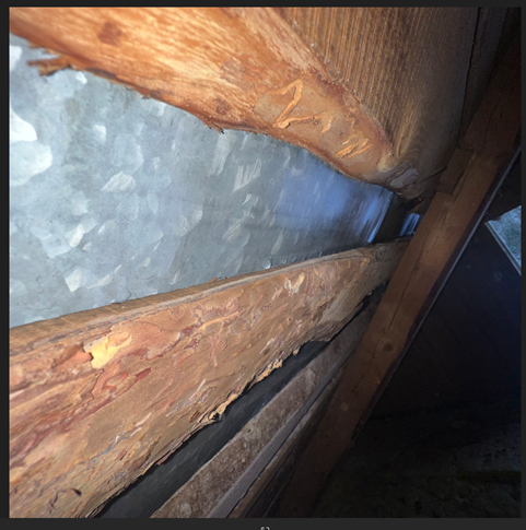 Näyttökuva 2025-03-24 182912