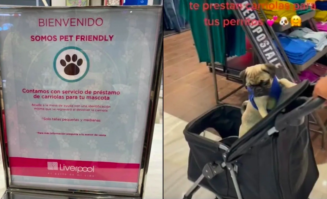 Liverpool se vuelve pet friendly y ofrece carriolas para perros en Monterrey