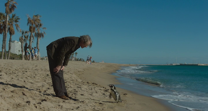 vlcsnap 2026 01 30 18h18m02s621