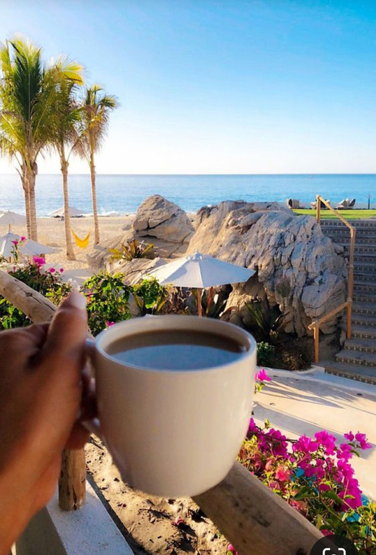 Screenshot_20230515_185616_Pinterest