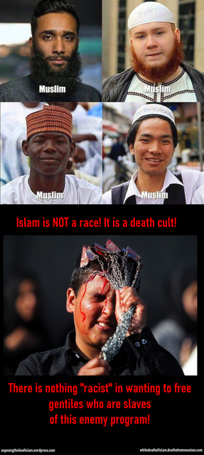 Islam-is-a-death-program.png