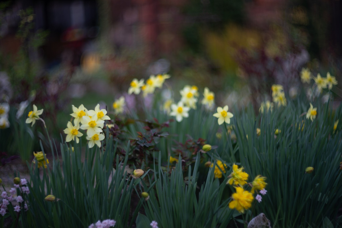 IMG-cca41948b01f47917c19ca36f82703da-V