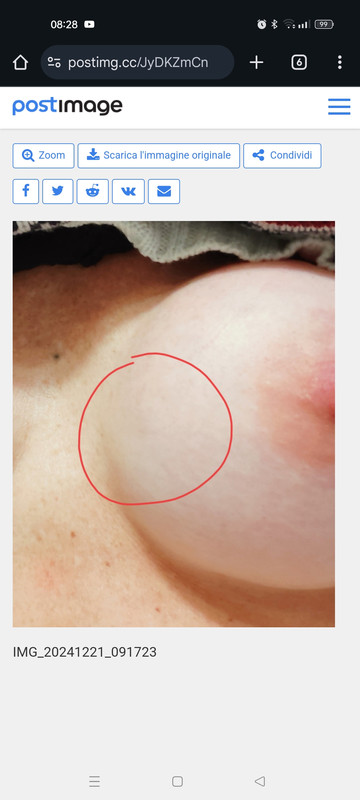 Screenshot_2024-12-22-08-28-51-26_40deb401b9ffe8e1df2f1cc5ba480b12