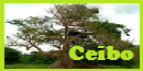 Freyr And The Tree Of Life Ceibo