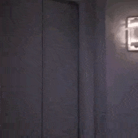 flowers-av3.gif