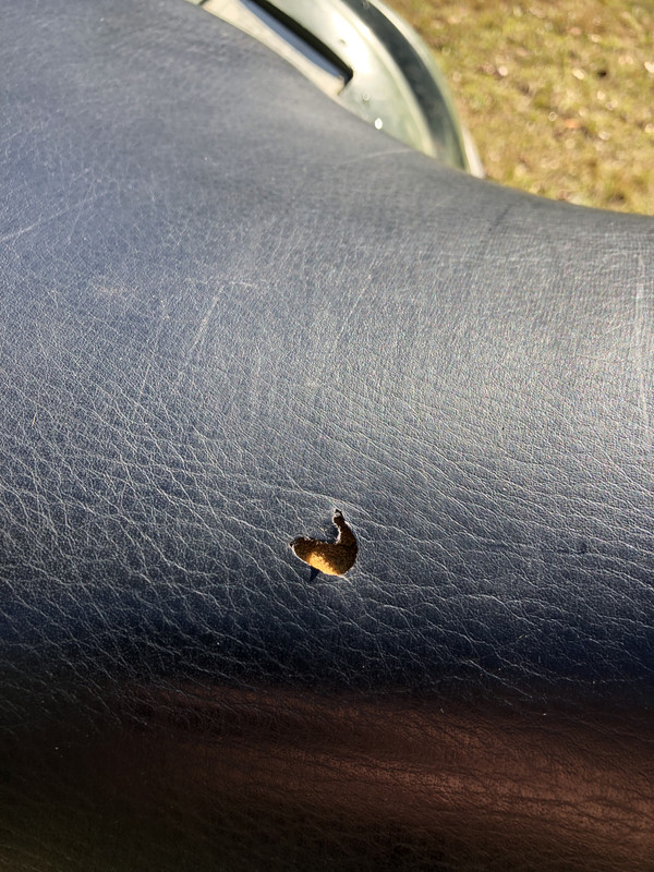 57B02B8E-10A4-409A-A148-C489EEE7243F