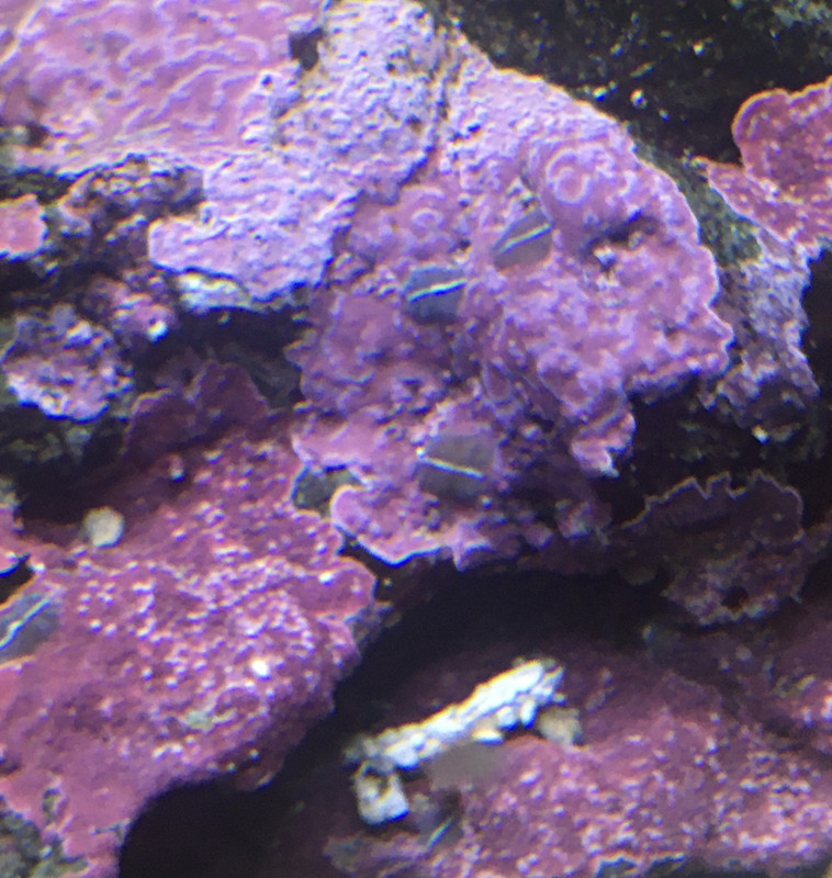 AF1F45E7-593F-4DE8-A22C-CDEE64A9B70C