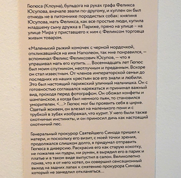 https://i.postimg.cc/nc7zQhbj/10.jpg