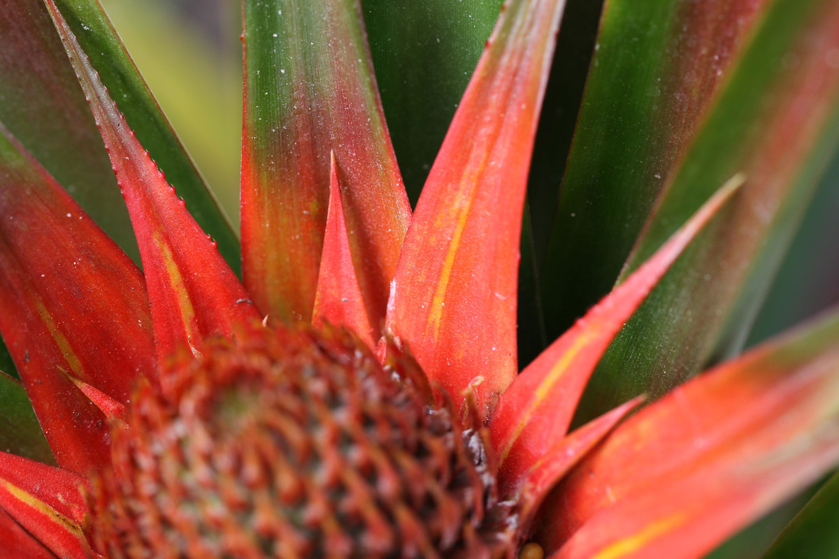 F83FB70B-065C-4355-9F4C-1EA1E1C8056E