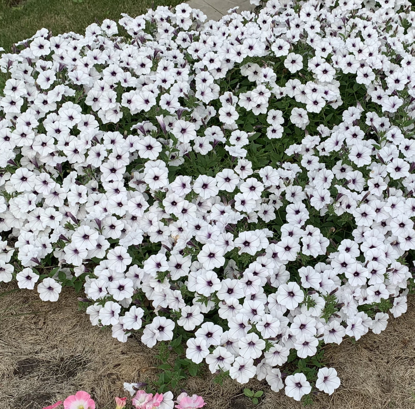 EBB573AB-0CED-48B8-ABDC-1800840B1A1F