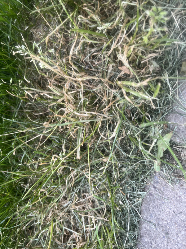 930DA761-CE68-4DC7-AA97-73D3F3314237