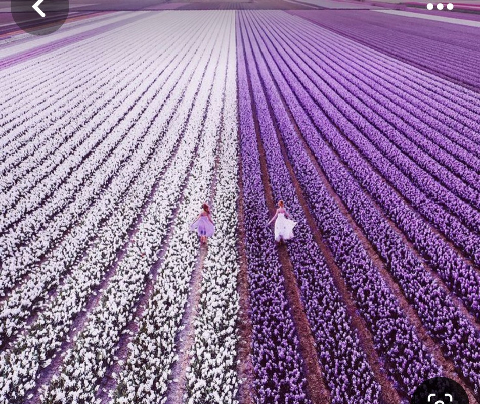 Screenshot_20240609_210434_Pinterest