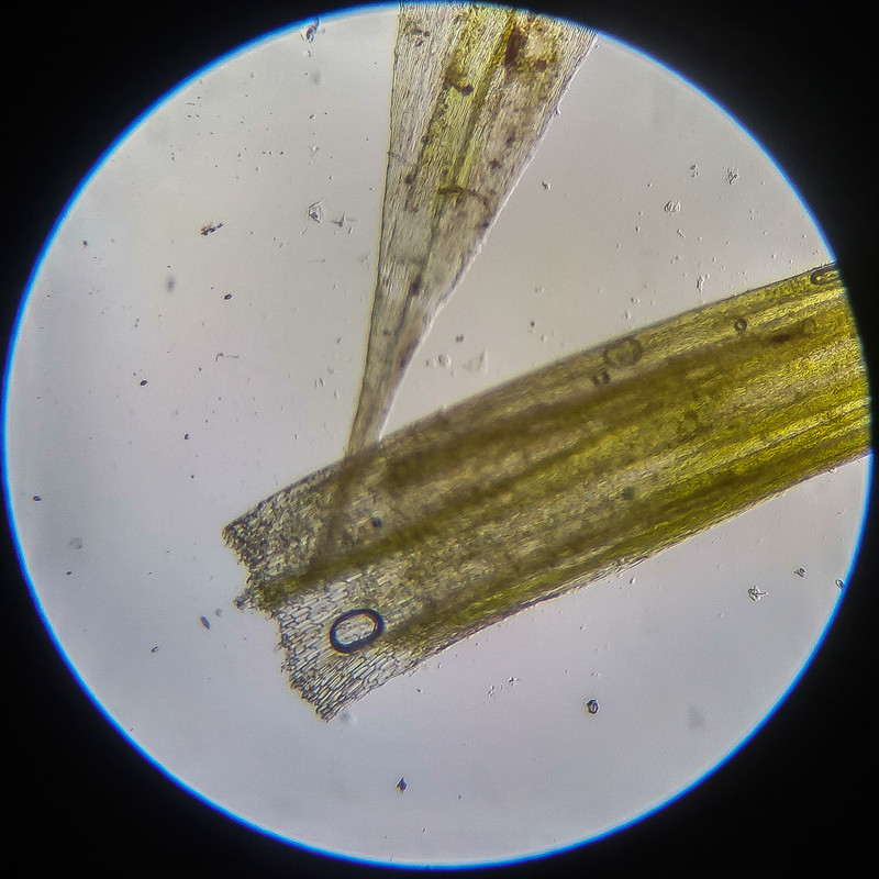 IMG 20250614 124037 HDR