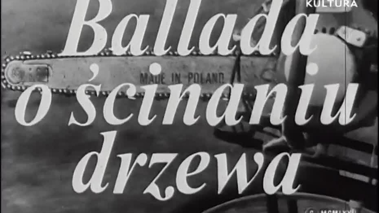 dd4a4a729b2f855e6132e2fc5a090c46-101-jpg-ooooxooxox-1280x720