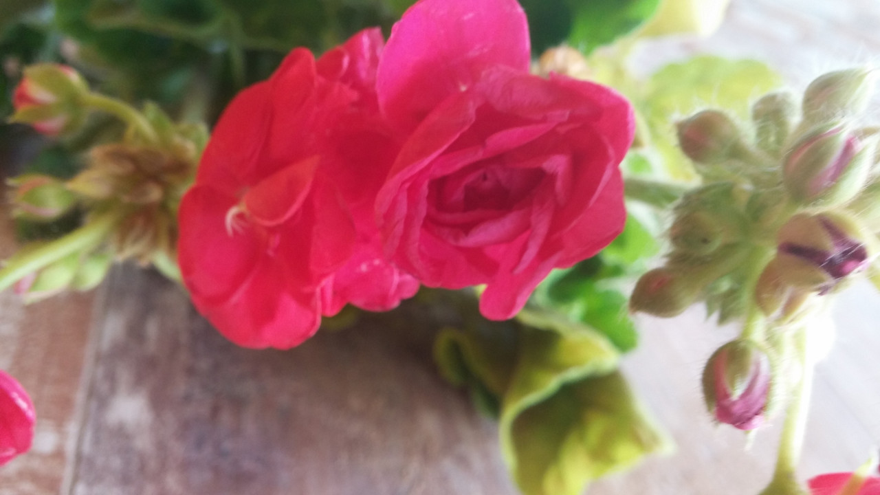 20160709_160756