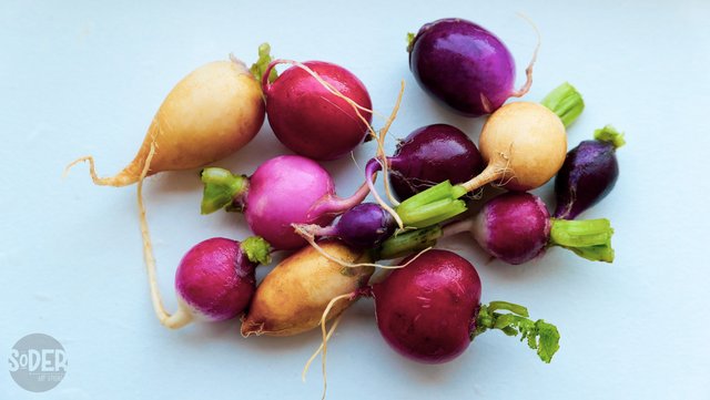 EE7B1B79-23A4-460F-AE5E-7A1E0D6D29A6