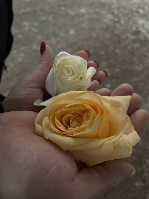 FE87A349-F283-4D1B-90D9-1880C4A0F414