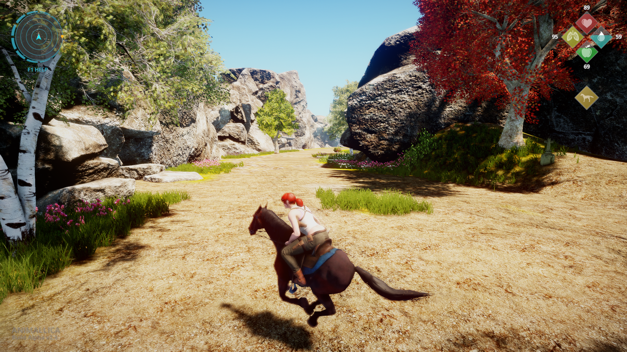 Animallica_2018-06-26_15-41-36