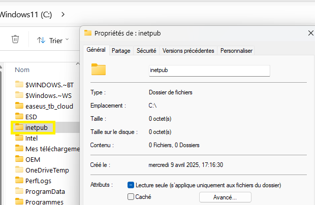 Capture d'écran inetpub