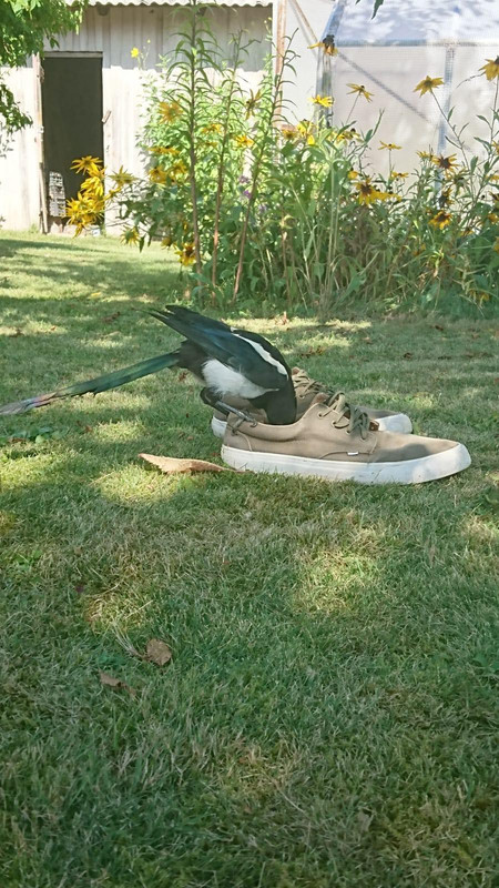 299756471_799113364607513_404861838513315942_n (1)