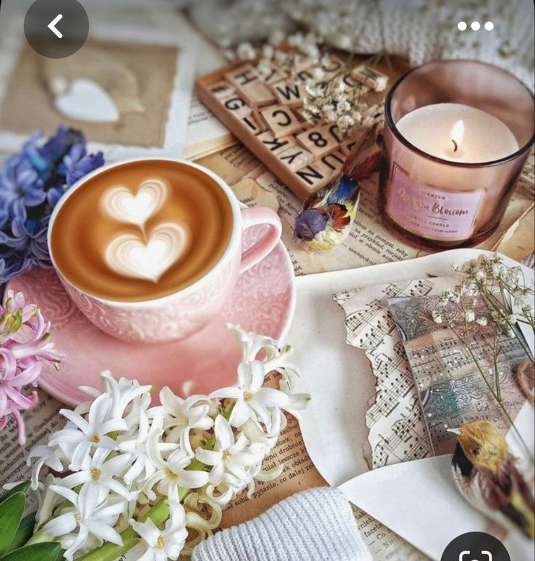 Screenshot_20230517_003541_Pinterest